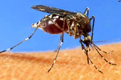 50 dengue cases in Punjab so far this year: Punjab Health Minister
