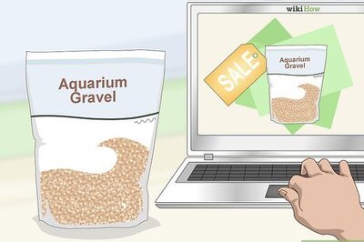 How to Prepare Fish Tank Gravel