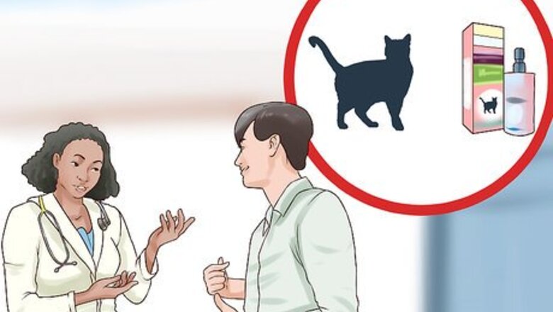 How to Transport a Nervous Cat