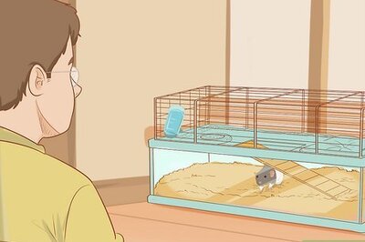 How to Train Your Rat to Do Tricks
