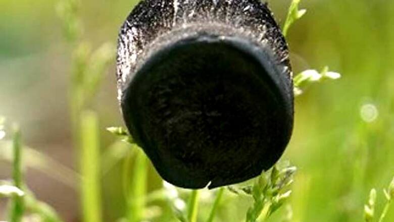 Chinese scientists create world's lightest material