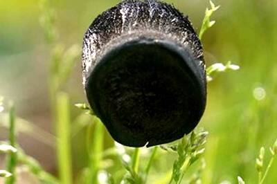 Chinese scientists create world's lightest material