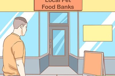 How to Get Free Dog Food