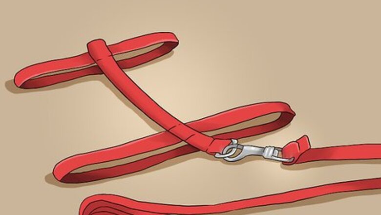 How to Take Your Pet Bird Outside