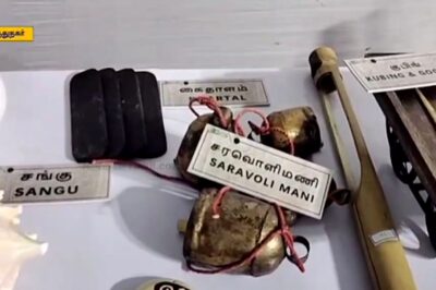 In Tamil Nadu's Virudhanagar, A Festival Of Ancient Tamil Musical Instruments