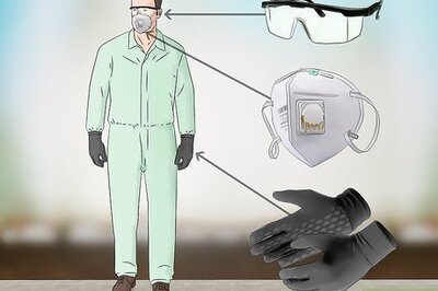 How to Get Rid of Boxelder Bugs Outside