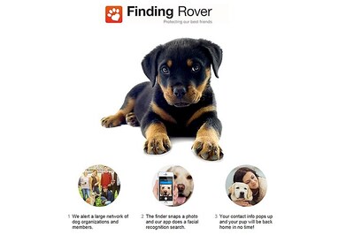 Search for your lost pet with this new smartphone app
