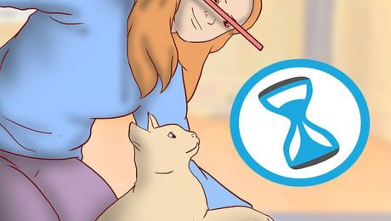 How to Know if You're Ready to Get a Cat