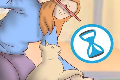 How to Know if You're Ready to Get a Cat