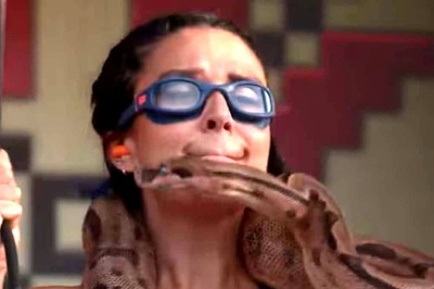 Khatron Ke Khiladi 14: Krishna Shroff’s Fearless Performance Earns Praise From Viewers