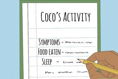 How to Care for a Sick Dog