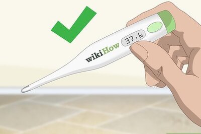 How to Take a Dog's Temperature
