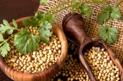 Fuel Your Day with These 5 Protein-Packed Plate Essentials