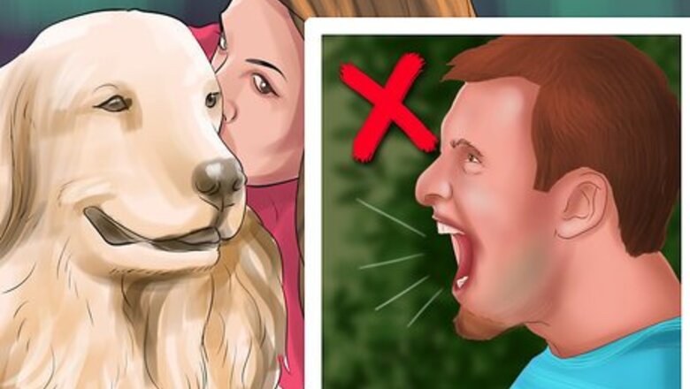 How to Show Affection to an Older Dog