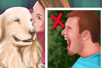 How to Show Affection to an Older Dog