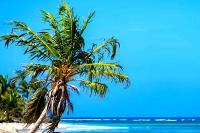 Take Cues To Plan A Serene Getaway To Goa Before The Autumn-Winter Season
