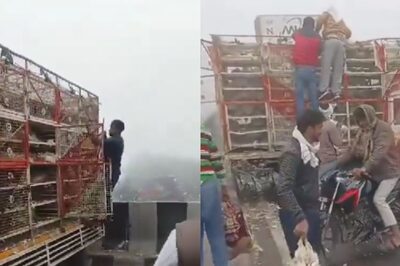 Multi-vehicle Crash 'Meats' With Chicken Looting on UP Highway. Watch Viral Video