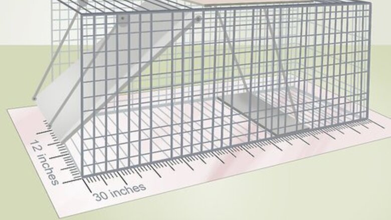 How to Trap, Relocate, and Deter Possums from Your Home