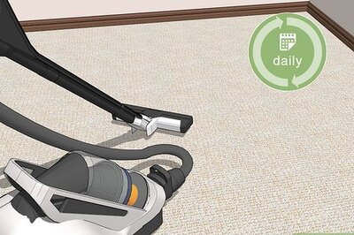 How to Get Rid of Fleas in the House Fast