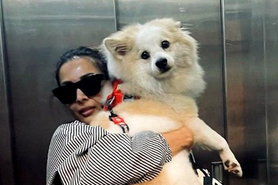 Malaika Arora Asks 'Who’s A Better Poser’ As She Posts Adorable Pic With Pet Casper