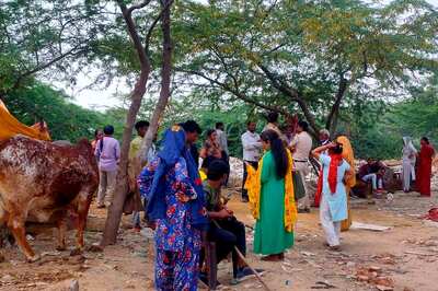 Brothers Aged 5 & 7 Killed by Stray Dogs in Delhi Slum in 48 Hours; Family Demands Further Probe