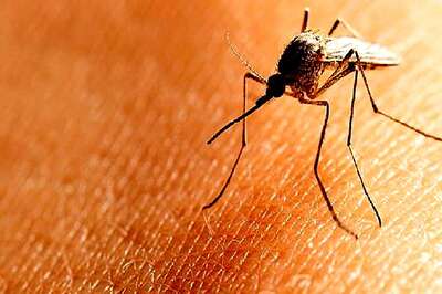 53-year-old Man Tested Positive for Dengue in Tamil Nadu's Ooty