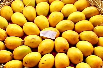 'Mango Man' names new hybrid variety as 'NaMo Aam'