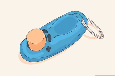 How to Train a Dog to Play Soccer