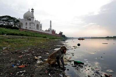 Ahead of Donald Trump's Agra Visit, Taj Mahal and Yamuna Get Thorough Clean-up