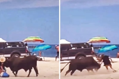 Watch: Woman Attacked By Bull On Mexico Beach After She Ignored Bystanders' Warning