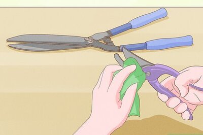 How to Prune Red Robin