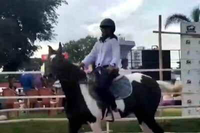 5-Member Team's 497-kilometre Horse Ride Finds Place In India Book Of Records