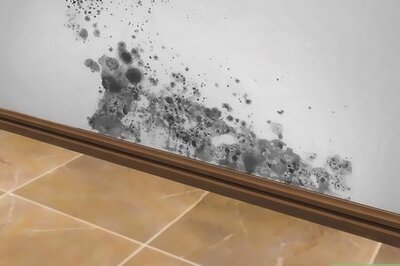 How to Kill Mold With Vinegar