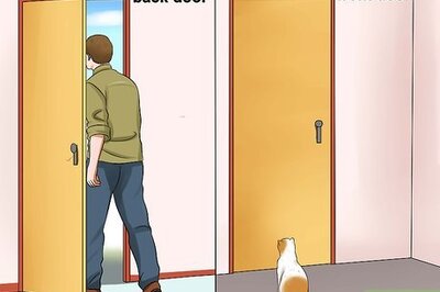 How to Keep a Cat from Running out the Door