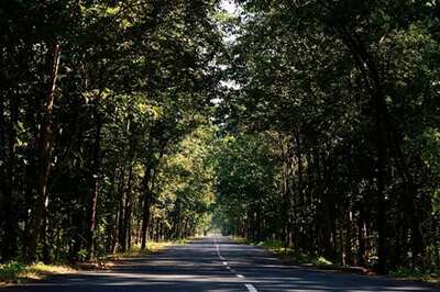 Consumers Do Not Buy Environment-friendly Products, Perceive Them as Less Effective, Says New Research