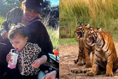 Priyanka Chopra Was the Only Choice, Says 'Tiger' Makers: 'She Kept Saying Malti...' | Exclusive