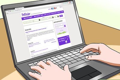 How to Adopt a Rabbit from a Shelter