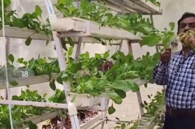 Why This Andhra Pradesh College Is Promoting Hydroponics For Urban Agriculture