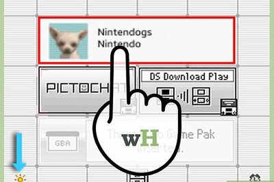 How to Erase Your Nintendogs Game