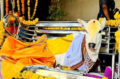 In Telangana's Karimnagar, Couple Hosts Grand Naming Ceremony For Calf