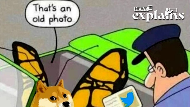 Twitter Bird Logo Replaced With Doge: What is Dogecoin & Elon Musk's Dalliance With It?