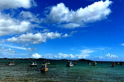 Travel 2024: Top 7 Things To Do in Sri Lanka