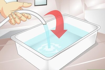 How to Bathe a Tortoise