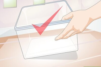 How to Grow a Wax Worm Farm