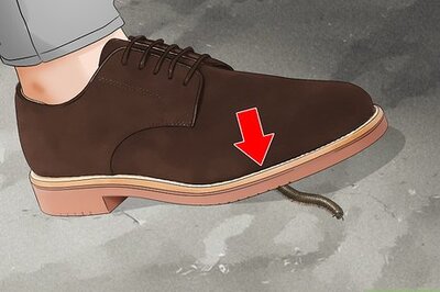 How to Get Rid of Millipedes