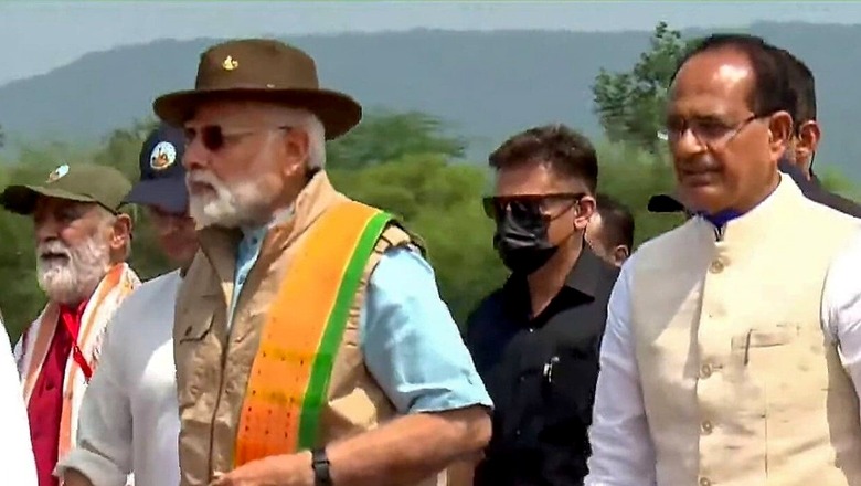 News18 Afternoon Digest: Narendra Modi Releases Big Cats in MP's Kuno National Park; Wishes Pour in for PM's 72nd Birthday & More