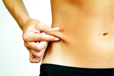 Researchers Decode What Gut Bacteria Have to Do With Weight Gain