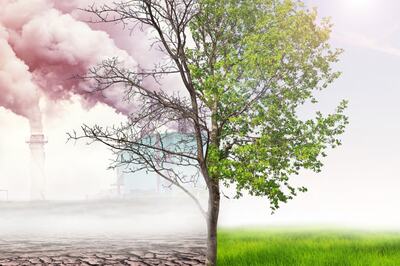 JLF2022: Climate Change, Energy Conservation And Clean Energy To Be Major Topics Of Discussion