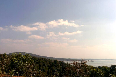 Who stole my winter?