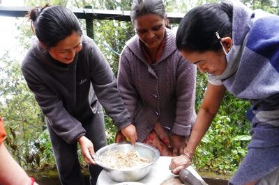 Culinary Connect: On Darjeeling Visit, Mamata Dons Chef's Hat to Make Momos as Crowd Cheers Her On